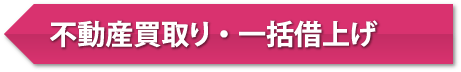 不動産買取り・一括借上げ